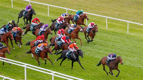 racing post jobs|RP Jobs .